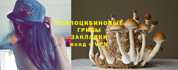 синтетический гашиш Алексеевка