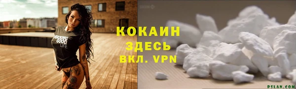 spice Алзамай