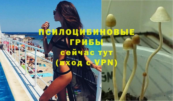 бошки Алексин
