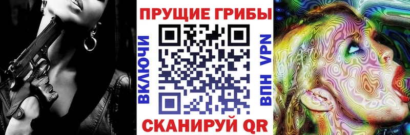 купить наркотик  Шацк  Галлюциногенные грибы GOLDEN TEACHER 